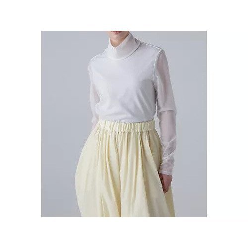 【アドーア/ADORE】のシアージャージーカットソー 大人の最旬トレンドファッション＆コーディネート founy(ファウニー) 　ファッション　Fashion　レディースファッション　Fashion for Women　トップス・カットソー　Cut & Sew Tops　カットソー・ベーシックTシャツ　Cut-and-Sewn Tops / Stretch Tees & Basics　おすすめ　Recommended / Our Picks　シアー　Sheer, See-Through　スタンダード　Standard, Basic　フィット　Fit, Slim Fit　定番　Standard, Basic Item　other-3|ID: prp329100004964412 ipo3291000000037251066