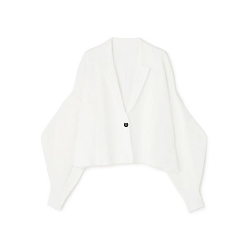 【アドーア/ADORE】のフォルムドスリーブニット インテリア・キッズ・メンズ・レディースファッション・服の通販 founy(ファウニー) https://founy.com/ ファッション Fashion レディースファッション Fashion for Women トップス・カットソー Cut & Sew Tops ニット Knit Tops & Sweaters おすすめ Recommended / Our Picks ジャケット Jacket, Outerwear スタンダード Standard, Basic フィット Fit, Slim Fit ルーズ Loose, Oversized 夏 Summer 春 Spring S/S・春夏 SS, Spring/Summer, Warm Season |ID: prp329100004964473 ipo3291000000037251355