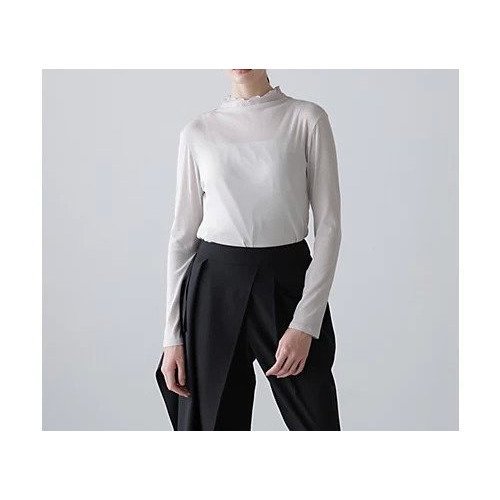 【アドーア/ADORE】のシアーフライストップス インテリア・キッズ・メンズ・レディースファッション・服の通販 founy(ファウニー) 　ファッション　Fashion　レディースファッション　Fashion for Women　トップス・カットソー　Cut & Sew Tops　おすすめ　Recommended / Our Picks　カットソー　Cut and Sewn Top　コンパクト　Compact, Small Size　フィット　Fit, Slim Fit　冬　Winter / This Winter　A/W・秋冬　Autumn/Winter　グレー|ID: prp329100004964720 ipo3291000000037252576