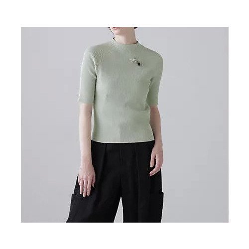 【アドーア/ADORE】のベーシックリブ インテリア・キッズ・メンズ・レディースファッション・服の通販 founy(ファウニー) 　ファッション　Fashion　レディースファッション　Fashion for Women　おすすめ　Recommended / Our Picks　スタンダード　Standard, Basic　ストレッチ　Stretch, Stretchy Fabric　フィット　Fit, Slim Fit　ホールガーメント　WholeGarment, Seamless Knit　リブニット　Rib Knit, Ribbed Knit　夏　Summer　定番　Standard, Basic Item　春　Spring　S/S・春夏　SS, Spring/Summer, Warm Season　グリーン|ID: prp329100004964744 ipo3291000000037252905