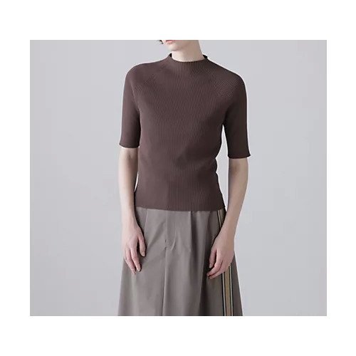 【アドーア/ADORE】のベーシックリブ インテリア・キッズ・メンズ・レディースファッション・服の通販 founy(ファウニー) 　ファッション　Fashion　レディースファッション　Fashion for Women　おすすめ　Recommended / Our Picks　スタンダード　Standard, Basic　ストレッチ　Stretch, Stretchy Fabric　フィット　Fit, Slim Fit　ホールガーメント　WholeGarment, Seamless Knit　リブニット　Rib Knit, Ribbed Knit　夏　Summer　定番　Standard, Basic Item　春　Spring　S/S・春夏　SS, Spring/Summer, Warm Season　ブラウン|ID: prp329100004964744 ipo3291000000037252906
