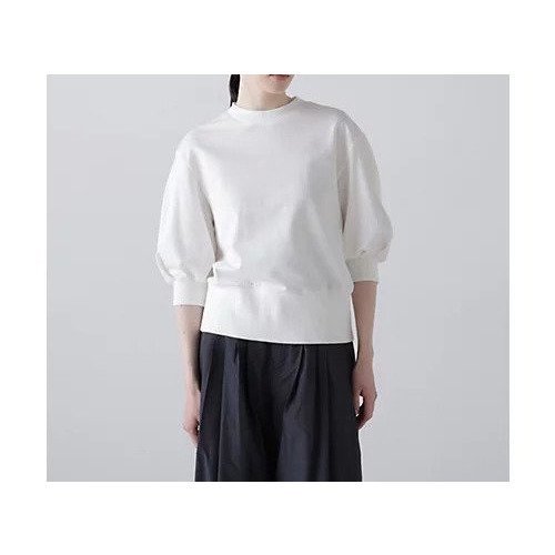 【アドーア/ADORE】のハイゲージウラケトップス インテリア・キッズ・メンズ・レディースファッション・服の通販 founy(ファウニー) 　ファッション　Fashion　レディースファッション　Fashion for Women　トップス・カットソー　Cut & Sew Tops　おすすめ　Recommended / Our Picks　コンパクト　Compact, Small Size　スタンダード　Standard, Basic　スリーブ　Sleeve, Long Sleeve / Short Sleeve　テレコ　Ribbed, Rib Stitch　バランス　Balance, Style Balance　フィット　Fit, Slim Fit　夏　Summer　春　Spring　S/S・春夏　SS, Spring/Summer, Warm Season　ホワイト|ID: prp329100004964765 ipo3291000000037253097