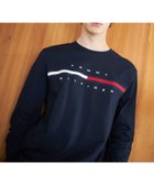 【トミーヒルフィガー/TOMMY HILFIGER】のTOMMY HILFIGER(トミーヒルフィガー) 【オンライン限定】トミーヒルフィガーロゴロングスリーブTシャツ / TINO TEE 人気、トレンドファッション・服の通販 founy(ファニー) ファッション Fashion レディースファッション WOMEN トップス・カットソー Tops/Tshirt シャツ/ブラウス Shirts/Blouses ロング / Tシャツ T-Shirts アメリカン American インナー Inner クラシック Classic デニム Denim 定番 Standard 人気 Popularity 長袖 Long Sleeve ボトム Bottom モダン Modern モチーフ Motif リラックス Relax ルーズ Loose ゴルフ Golf thumbnail ネイビーFAP|ID: prp329100004071618 ipo3291000000028517860