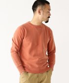 【ビームス/BEAMS / MEN】のREMI RELIEF*BEAMS PLUS / 別注 スウェット クルーネック 人気、トレンドファッション・服の通販 founy(ファニー) ファッション Fashion メンズファッション MEN ヴィンテージ Vintage スウェット Sweat ダメージ Damage パターン Pattern 別注 Special Order thumbnail BRICK|ID: prp329100004076726 ipo3291000000027910062