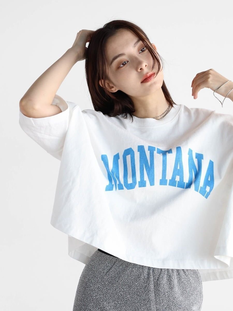 【ラシュッド/LASUD】のカレッジロゴドルマンTシャツ 人気、トレンドファッション・服の通販 founy(ファニー) 　ファッション　Fashion　レディースファッション　WOMEN　トップス・カットソー　Tops/Tshirt　シャツ/ブラウス　Shirts/Blouses　ロング / Tシャツ　T-Shirts　おすすめ　Recommend　カーゴパンツ　Cargo Pants　ショルダー　Shoulder　デニム　Denim　ドロップ　Drop　夏　Summer　 other-1|ID: prp329100004096173 ipo3291000000029265323