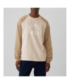 【ギャップ/GAP】のGAP ATHLETICロゴ ラグランTシャツ 人気、トレンドファッション・服の通販 founy(ファニー) ファッション Fashion レディースファッション WOMEN トップス・カットソー Tops/Tshirt シャツ/ブラウス Shirts/Blouses ロング / Tシャツ T-Shirts おすすめ Recommend ストレート Straight スリーブ Sleeve フィット Fit フロント Front リラックス Relax 長袖 Long Sleeve thumbnail PERFECT_KHAKI|ID: prp329100004099435 ipo3291000000028681392