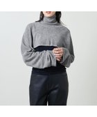 【ユナイテッドアローズ/UNITED ARROWS】のMARW UNITED ARROWS ショート タートルニット プルオーバー 人気、トレンドファッション・服の通販 founy(ファニー) ファッション Fashion レディースファッション WOMEN トップス・カットソー Tops/Tshirt ニット Knit Tops プルオーバー Pullover アクリル Acrylic カットソー Cut And Sew クロップド Cropped ショート Short ストール Stall タートル Turtle 人気 Popularity ビッグ Big ビジネス 仕事 通勤 Business thumbnail MD.GRAY|ID: prp329100004107625 ipo3291000000028494247