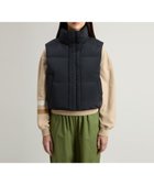 【ウールリッチ/WOOLRICH】の【公式】アルセア ショート ベスト / ALSEA SHORT VEST 人気、トレンドファッション・服の通販 founy(ファニー) ファッション Fashion レディースファッション WOMEN アウター Coat Outerwear トップス・カットソー Tops/Tshirt ベスト/ジレ Gilets/Vests キルティング Quilting ショート Short センター Center ダウン Down ツイル Twill ファブリック Fabric フロント Front ベスト Vest ポケット Pocket メタル Metal thumbnail BLACK|ID: prp329100004113865 ipo3291000000028940377