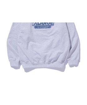 【エクストララージ/XLARGE / MEN】のCHENILLE SLANTED OG HOODED SWEATSHIRT 人気、トレンドファッション・服の通販 founy(ファニー) ファッション Fashion メンズファッション MEN トップス・カットソー Tops/Tshirt/Men パーカ Sweats シャツ Shirts シンプル Simple パーカー Hoodie フロント Front |ID:prp329100004137615