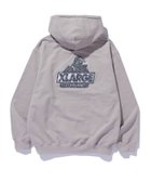 【エクストララージ/XLARGE / MEN】のCHENILLE SLANTED OG HOODED SWEATSHIRT 人気、トレンドファッション・服の通販 founy(ファニー) ファッション Fashion メンズファッション MEN トップス・カットソー Tops/Tshirt/Men パーカ Sweats シャツ Shirts シンプル Simple パーカー Hoodie フロント Front thumbnail BEIGE|ID: prp329100004137615 ipo3291000000028771541