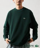 【ジャーナルスタンダード レリューム/JOURNAL STANDARD relume / MEN】のLACOSTE / ラコステ 別注 オーバーサイズ ヘビーピケ L/S Tシャツ 人気、トレンドファッション・服の通販 founy(ファニー) ファッション Fashion メンズファッション MEN スウェット Sweat ビッグ Big 別注 Special Order 2024年 2024 2024-2025秋冬・A/W Aw/Autumn/Winter/Fw/Fall/2024-2025 thumbnail グリーン|ID: prp329100004139951 ipo3291000000028606425