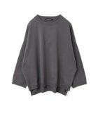 【マーコート/MARcourt】のmizuiro ind クルーネックワイドプルオーバー 人気、トレンドファッション・服の通販 founy(ファニー) ファッション Fashion レディースファッション WOMEN トップス・カットソー Tops/Tshirt プルオーバー Pullover カットソー Cut And Sew シンプル Simple ストレッチ Stretch ベーシック Basic ポケット Pocket エレガント 上品 Elegant 人気 Popularity 洗える Washable 無地 Plain Color 畦 Ridge 長袖 Long Sleeve thumbnail グレー|ID: prp329100004145053 ipo3291000000028716682