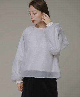 【サニーレーベル/Sonny Label / URBAN RESEARCH】の『WEB限定』オーガンジードッキングスウェット 人気、トレンドファッション・服の通販 founy(ファニー) ファッション Fashion レディースファッション WOMEN トップス・カットソー Tops/Tshirt パーカ Sweats スウェット Sweat 2024年 2024 2024-2025秋冬・A/W Aw/Autumn/Winter/Fw/Fall/2024-2025 A/W・秋冬 Aw・Autumn/Winter・Fw・Fall-Winter 冬 Winter オーガンジー Organdy スウェット Sweat トレンド Trend ボトム Bottom |ID:prp329100004147012