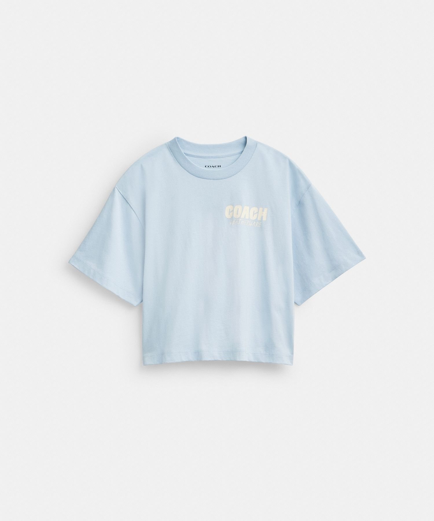 【その他のブランド/Other】の【公式】ニューヨーク クロップド Tシャツ 人気、トレンドファッション・服の通販 founy(ファニー) 　ファッション　Fashion　レディースファッション　WOMEN　トップス・カットソー　Tops/Tshirt　シャツ/ブラウス　Shirts/Blouses　ロング / Tシャツ　T-Shirts　クロップド　Cropped　ニューヨーク　New York　ポケット　Pocket　洗える　Washable　 other-1|ID: prp329100004163628 ipo3291000000028757922