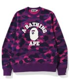 【その他のブランド/Other】のCOLOR CAMO COLLEGE CREWNECK 人気、トレンドファッション・服の通販 founy(ファニー) ファッション Fashion メンズファッション MEN プリント Print thumbnail PURPLE|ID: prp329100004166687 ipo3291000000028807707