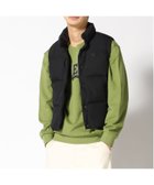 【ゲス/GUESS】のUNI Down Vest 人気、トレンドファッション・服の通販 founy(ファニー) ファッション Fashion レディースファッション WOMEN アウター Coat Outerwear トップス・カットソー Tops/Tshirt ベスト/ジレ Gilets/Vests thumbnail ブラック|ID: prp329100004172393 ipo3291000000028885478