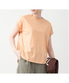 【マイカ ディール/MICA & DEAL】のMICA DEAL/ヘムラウンドカラーT-shirt-Season color 人気、トレンドファッション・服の通販 founy(ファニー) ファッション Fashion レディースファッション WOMEN トップス・カットソー Tops/Tshirt シャツ/ブラウス Shirts/Blouses ロング / Tシャツ T-Shirts おすすめ Recommend シルク Silk 別注 Special Order 夏 Summer 定番 Standard thumbnail ORANGE|ID: prp329100004179170 ipo3291000000029167763