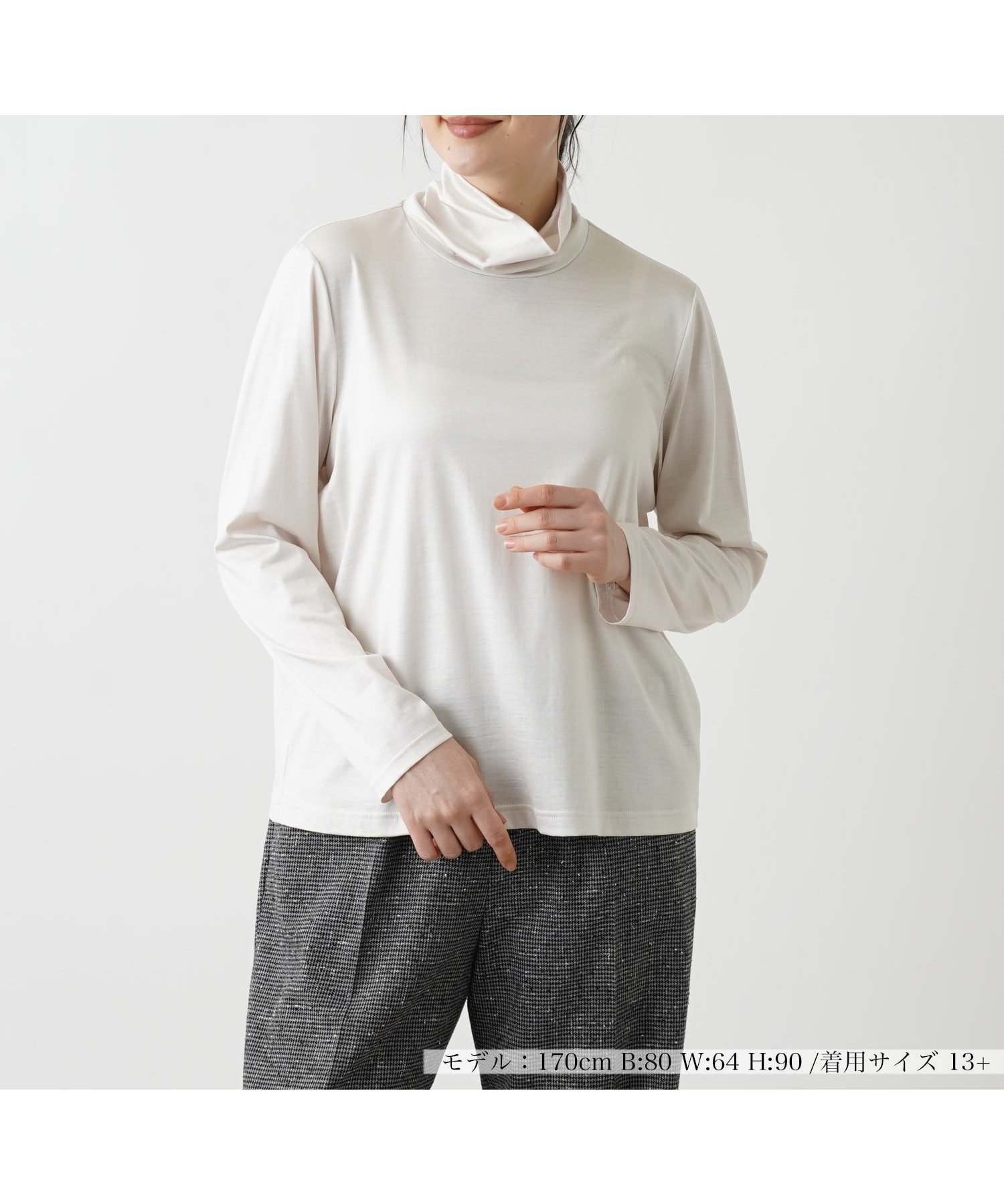 【レリアンプラスハウス/Leilian PLUS HOUSE】のカットソー インテリア・キッズ・メンズ・レディースファッション・服の通販 founy(ファニー) 　ファッション　Fashion　レディースファッション　WOMEN　トップス・カットソー　Tops/Tshirt　カットソー　Cut and Sewn　カットソー　Cut And Sew　シンプル　Simple　ハイネック　High Neck　エレガント 上品　Elegant　アイボリー|ID: prp329100004179382 ipo3291000000029039170