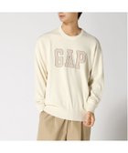 【ギャップ/GAP】のGAPロゴ インターシャセーター 人気、トレンドファッション・服の通販 founy(ファニー) ファッション Fashion レディースファッション WOMEN ショルダー Shoulder ドロップ Drop フロント Front 長袖 Long Sleeve thumbnail IVORY_FROST|ID: prp329100004190044 ipo3291000000029026443