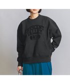 【ビューティ&ユース ユナイテッドアローズ/BEAUTY&YOUTH / UNITED ARROWS】の【別注】 Champion リバースウィーブ ロゴプリント スウェットプルオーバー 人気、トレンドファッション・服の通販 founy(ファニー) ファッション Fashion レディースファッション WOMEN トップス・カットソー Tops/Tshirt パーカ Sweats プルオーバー Pullover スウェット Sweat スペシャル Special 定番 Standard ニューヨーク New York バランス Balance プリント Print ボトム Bottom ポケット Pocket 別注 Special Order ロング Long ワイド Wide おすすめ Recommend thumbnail BLACK|ID: prp329100004192646 ipo3291000000029041762