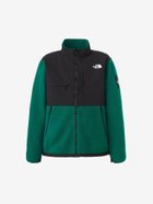 【ザ ノース フェイス/THE NORTH FACE】のデナリジャケット(メンズ) TNFグリーン|ID: prp329100004194866 ipo3291000000029448161