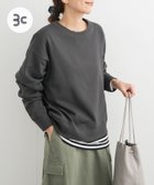 【アーバンリサーチ ドアーズ/URBAN RESEARCH DOORS】の『UR GREEN』コンパクトスウェットプルオーバー 人気、トレンドファッション・服の通販 founy(ファニー) ファッション Fashion レディースファッション WOMEN トップス・カットソー Tops/Tshirt パーカ Sweats プルオーバー Pullover スウェット Sweat 2024年 2024 2024-2025秋冬・A/W Aw/Autumn/Winter/Fw/Fall/2024-2025 A/W・秋冬 Aw・Autumn/Winter・Fw・Fall-Winter 冬 Winter コンパクト Compact プレーン Plane 定番 Standard thumbnail INK BLACK|ID: prp329100004196770 ipo3291000000029214325