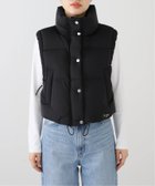 【イエナ/IENA】のTATRAS/タトラス CHACCLE ダウンベスト LTLA24A4290-D 人気、トレンドファッション・服の通販 founy(ファニー) ファッション Fashion レディースファッション WOMEN アウター Coat Outerwear トップス・カットソー Tops/Tshirt ベスト/ジレ Gilets/Vests A/W・秋冬 Aw・Autumn/Winter・Fw・Fall-Winter イタリア Italy コレクション Collection ダウン Down ベスト Vest ミラノ Milan ワイド Wide thumbnail ブラック|ID: prp329100004234807 ipo3291000000029351673