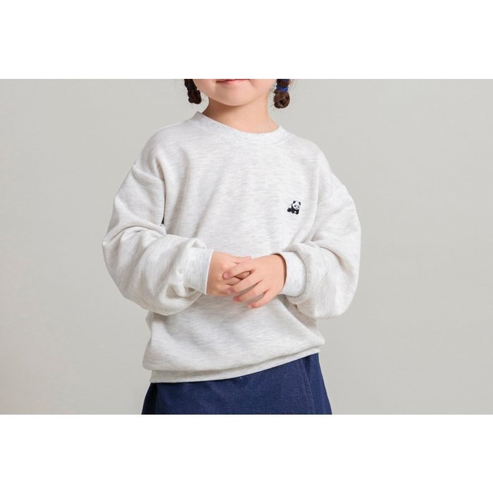 【ブランシェス/branshes / KIDS】の【WEB限定/DRC/やわらか薄手裏毛】ワンポイント刺しゅうトレーナー インテリア・キッズ・メンズ・レディースファッション・服の通販 founy(ファニー) https://founy.com/ ファッション Fashion キッズファッション KIDS おすすめ Recommend インナー Inner トレーナー Trainer ワンポイント One Point 秋 Autumn/Fall |ID: prp329100004236749 ipo3291000000029522516