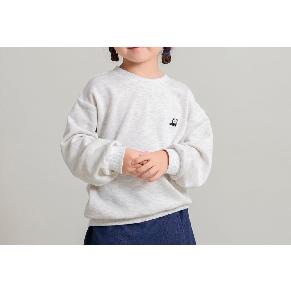 【ブランシェス/branshes / KIDS】の【WEB限定/DRC/やわらか薄手裏毛】ワンポイント刺しゅうトレーナー 人気、トレンドファッション・服の通販 founy(ファニー) 　ファッション　Fashion　キッズファッション　KIDS　おすすめ　Recommend　インナー　Inner　トレーナー　Trainer　ワンポイント　One Point　秋　Autumn/Fall　 other-1|ID: prp329100004236749 ipo3291000000029522516