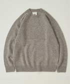 【フォーワンセブン バイ エディフィス/417 by EDIFICE / MEN】のShaggy Dog クルーネックニット 人気、トレンドファッション・服の通販 founy(ファニー) ファッション Fashion メンズファッション MEN おすすめ Recommend インナー Inner ハイネック High Neck フェザー Feather ベスト Vest 人気 Popularity 犬 Dog thumbnail ベージュ|ID: prp329100004250516 ipo3291000000029499668