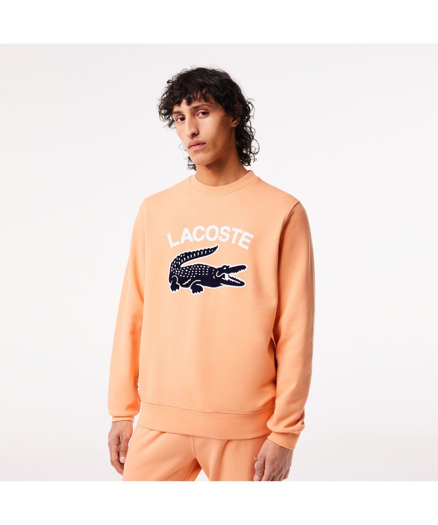 【ラコステ/LACOSTE / MEN】のビッグクロックカレッジロゴクルーネックスウェット 人気、トレンドファッション・服の通販 founy(ファニー) 　ファッション　Fashion　メンズファッション　MEN　グラフィック　Graphic　ビッグ　Big　ベーシック　Basic　人気　Popularity　 other-1|ID: prp329100004251220 ipo3291000000029505033