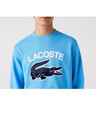 【ラコステ/LACOSTE / MEN】のビッグクロックカレッジロゴクルーネックスウェット ブルー|ID: prp329100004251220 ipo3291000000029505036