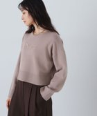 【ナチュラル ビューティー ベーシック/NATURAL BEAUTY BASIC】のラメ刺繍ロゴニット 人気、トレンドファッション・服の通販 founy(ファニー) ファッション Fashion レディースファッション WOMEN トップス・カットソー Tops/Tshirt ニット Knit Tops クロップド Cropped ボトム Bottom thumbnail ベージュ|ID: prp329100004252899 ipo3291000000029521060