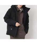 【デッサン/Dessin】の【ユニセックス】ダウンコート 人気、トレンドファッション・服の通販 founy(ファニー) ファッション Fashion レディースファッション WOMEN アウター Coat Outerwear コート Coats ダウン Down Coats And Jackets ジャケット Jacket ダウン Down ポケット Pocket 定番 Standard thumbnail ブラック|ID: prp329100004253827 ipo3291000000029626018