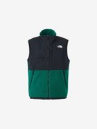 【ザ ノース フェイス/THE NORTH FACE】のデナリベスト(ユニセックス) 人気、トレンドファッション・服の通販 founy(ファニー) ファッション Fashion レディースファッション WOMEN アウター Coat Outerwear トップス・カットソー Tops/Tshirt ベスト/ジレ Gilets/Vests アウトドア Outdoor ドローコード Draw Cord バランス Balance ベスト Vest 冬 Winter 秋 Autumn/Fall thumbnail TNFグリーン|ID: prp329100004277176 ipo3291000000030350494