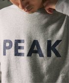 【ジャーナルスタンダード レリューム/JOURNAL STANDARD relume / MEN】の《追加》SNOWPEAK / スノーピーク 別注 クルーネック スウェット PEAK グレーA|ID: prp329100004312719 ipo3291000000030302983