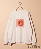 【レプシィム ローリーズファーム/LEPSIM LOWRYS FARM】の【Mister Donut×LEPSIM】フォトロンT 人気、トレンドファッション・服の通販 founy(ファニー) ファッション Fashion レディースファッション WOMEN トップス・カットソー Tops/Tshirt ロング / Tシャツ T-Shirts おすすめ Recommend インナー Inner キャラクター Character シンプル Simple チェーン Chain プリント Print ロング Long thumbnail ピンク22|ID: prp329100004320040 ipo3291000000029971635