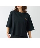 【ルージュヴィフラクレ/Rouge vif la cle】の【KELTY/ケルティー】ラッシュコンフォートクロップドTシャツ 五分丈/速乾/ 人気、トレンドファッション・服の通販 founy(ファニー) ファッション Fashion レディースファッション WOMEN トップス・カットソー Tops/Tshirt シャツ/ブラウス Shirts/Blouses ロング / Tシャツ T-Shirts アウトドア Outdoor カリフォルニア California クロップド Cropped シンプル Simple ストレッチ Stretch スポーツ Sports thumbnail ブラック|ID: prp329100004337321 ipo3291000000030530773