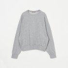 【エリオポール/heliopole】のGLITTER SWEAT SHIRT 人気、トレンドファッション・服の通販 founy(ファニー) ファッション Fashion レディースファッション WOMEN トップス・カットソー Tops/Tshirt シャツ/ブラウス Shirts/Blouses パーカ Sweats ロング / Tシャツ T-Shirts スウェット Sweat スリーブ Sleeve ミックス Mix thumbnail ミディアムグレー|ID: prp329100004355434 ipo3291000000030426206