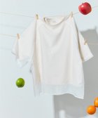 【フリークスストア/FREAK'S STORE】のオーガンジー×カットソー 重ね ラグラン 半袖 Tシャツ【限定展開】 25SS ナチュラル|ID:prp329100004418641
