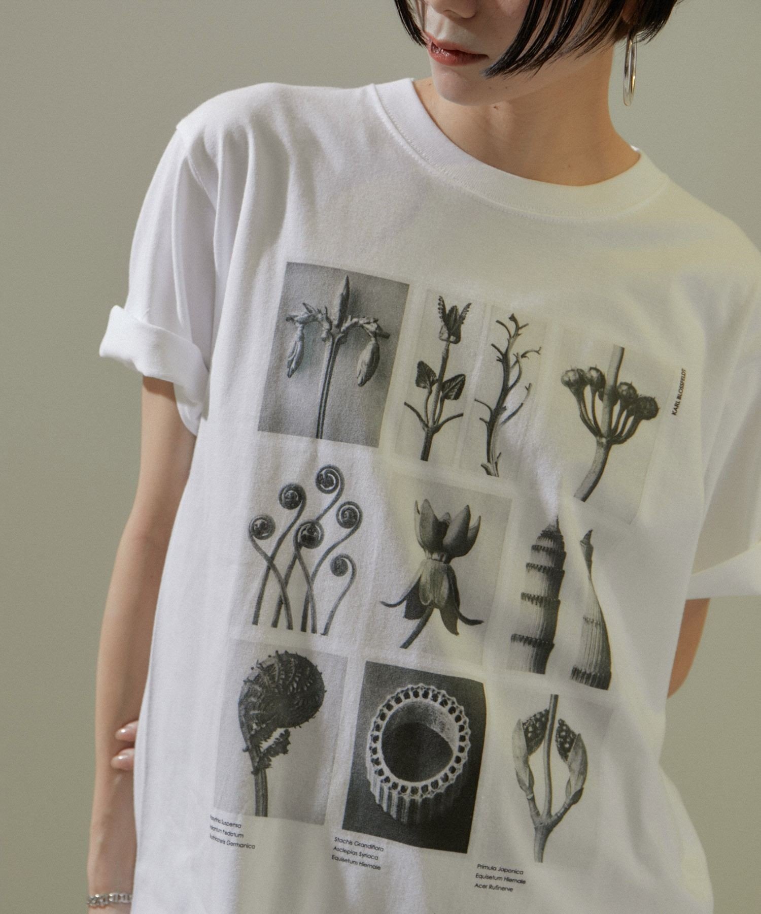 【サロン アダム エ ロペ/SALON adam et rope'】の【WEB限定】【KARL BLOSSFELDT(カールブロスフェルト)】フォトTシャツ 2 /25SS インテリア・キッズ・メンズ・レディースファッション・服の通販 founy(ファニー) 　ファッション　Fashion　レディースファッション　WOMEN　トップス・カットソー　Tops/Tshirt　シャツ/ブラウス　Shirts/Blouses　ロング / Tシャツ　T-Shirts　フェルト　Felt　フロント　Front　プリント　Print　ホワイト系(11)|ID: prp329100004495795 ipo3291000000031803072