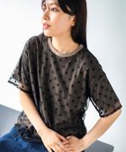 【ビームス ハート/BEAMS HEART】の【6/5新規値下げ】チュール レイヤード Tシャツ 25SS シアートップス 半袖 MOCHA DOT|ID: prp329100004497022 ipo3291000000032520053