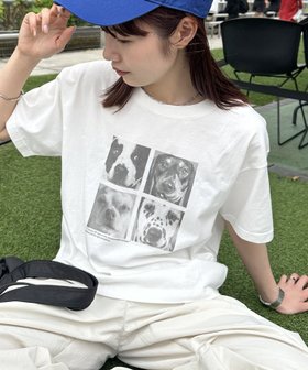 【ディスコート/Discoat】の【ユニセックス】アソートアニマルボックスフォトTシャツ 人気、トレンドファッション・服の通販 founy(ファニー) ファッション Fashion レディースファッション WOMEN トップス・カットソー Tops/Tshirt シャツ/ブラウス Shirts/Blouses ロング / Tシャツ T-Shirts アニマル Animal コンパクト Compact シンプル Simple プリント Print モノトーン Monotone |ID:prp329100004507465