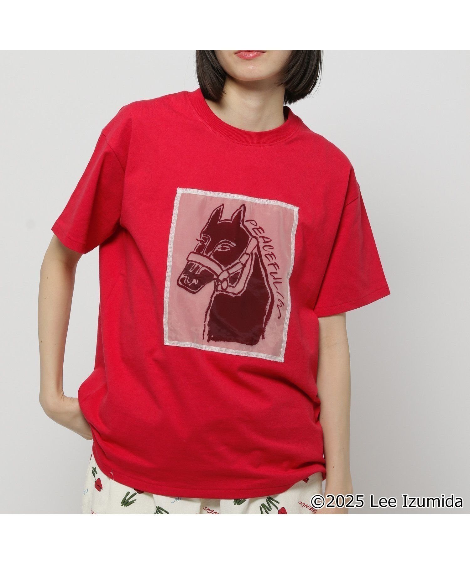 【ニコアンド/niko and】の【IZUMIDA LEE(イズミダ リー)】コラボ アソートグラフィックTシャツ インテリア・キッズ・メンズ・レディースファッション・服の通販 founy(ファニー) 　ファッション　Fashion　レディースファッション　WOMEN　トップス・カットソー　Tops/Tshirt　シャツ/ブラウス　Shirts/Blouses　ロング / Tシャツ　T-Shirts　グラフィック　Graphic　コラボ　Collaboration　コンパクト　Compact　シンプル　Simple　スラックス　Slacks　人気　Popularity　フロント　Front　プリント　Print　半袖　Short Sleeve　マニッシュ　Mannish　リラックス　Relax　おすすめ　Recommend　レッド30|ID: prp329100004510295 ipo3291000000031907711