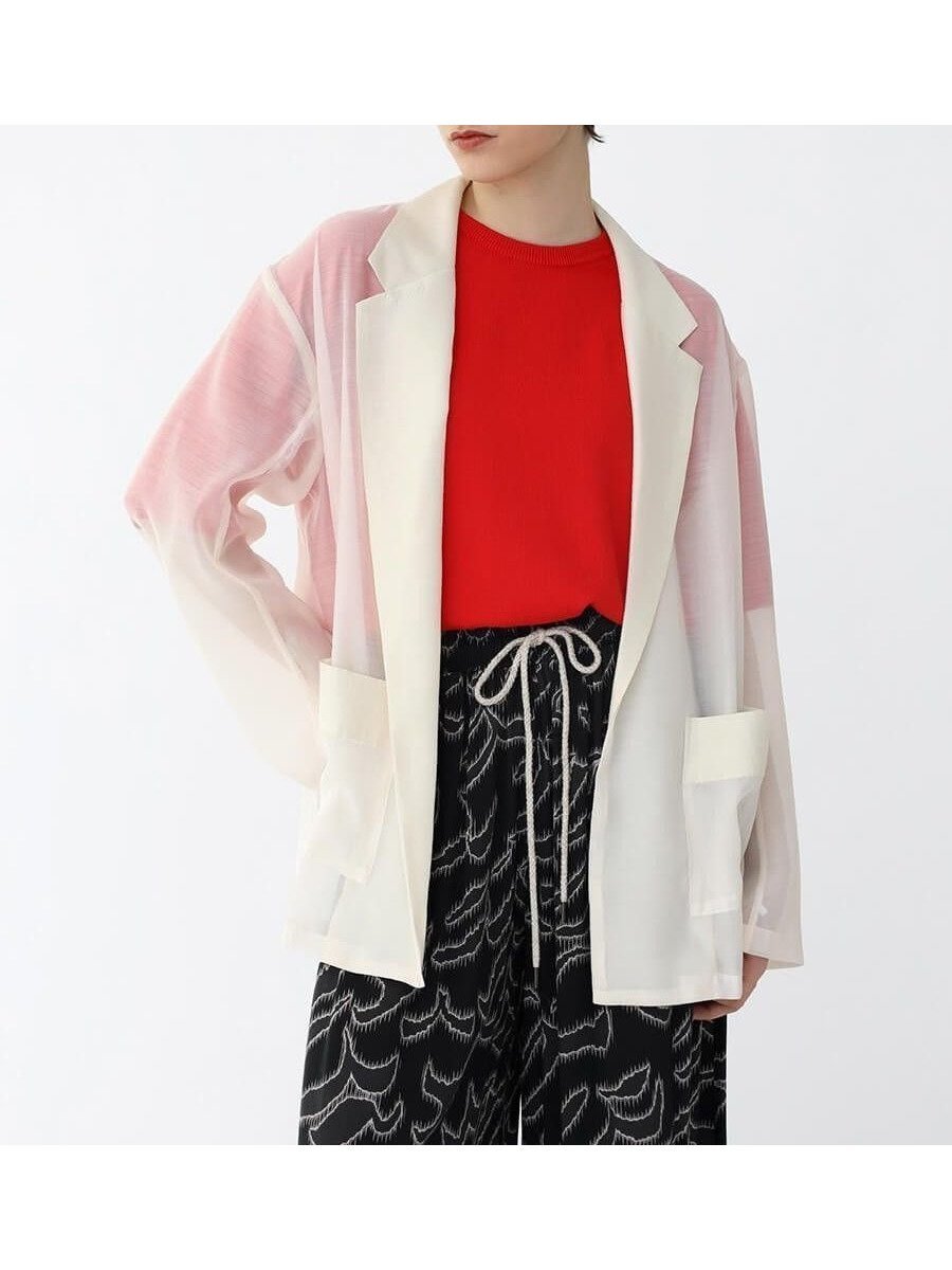 【ラシュッド/LASUD】のシアージャケット インテリア・キッズ・メンズ・レディースファッション・服の通販 founy(ファニー) 　ファッション　Fashion　レディースファッション　WOMEN　アウター　Coat Outerwear　ジャケット　Jackets　シアー　Sheer　ポケット　Pocket　エレガント 上品　Elegant　アイボリー|ID: prp329100004512782 ipo3291000000031880003