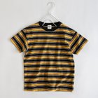 【ブランシェス/branshes / KIDS】の【WEB限定/DRC/綿100%】マルチボーダー半袖Tシャツ 人気、トレンドファッション・服の通販 founy(ファニー) ファッション Fashion キッズファッション KIDS おすすめ Recommend ボーダー Border 半袖 Short Sleeve 吸水 Water Absorption thumbnail カラシ|ID: prp329100004517050 ipo3291000000031923775