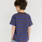 【ブランシェス/branshes / KIDS】の【WEB限定/DRC/綿100%】マルチボーダー半袖Tシャツ 人気、トレンドファッション・服の通販 founy(ファニー) ファッション Fashion キッズファッション KIDS おすすめ Recommend ボーダー Border 半袖 Short Sleeve 吸水 Water Absorption thumbnail ブラウン|ID: prp329100004517050 ipo3291000000031923781