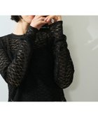 【アダム エ ロペ/ADAM ET ROPE'】の【WEB限定】レースプルオーバー ブラック(01)|ID: prp329100004523058 ipo3291000000031994533