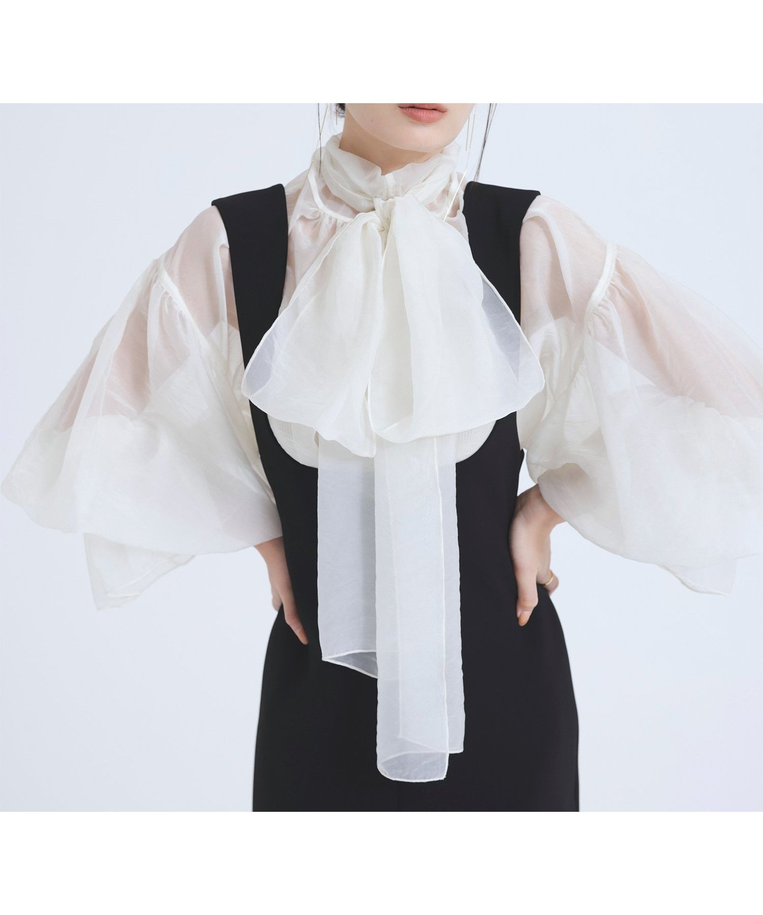 【アニュアンス/anuans】のシアーボウタイボリュームブラウス 人気、トレンドファッション・服の通販 founy(ファニー) 　ファッション　Fashion　レディースファッション　WOMEN　トップス・カットソー　Tops/Tshirt　シャツ/ブラウス　Shirts/Blouses　オーガンジー　Organdy　シンプル　Simple　ドッキング　Docking　 other-1|ID: prp329100004523284 ipo3291000000031996665