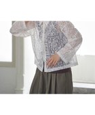 【エルビーシー/LBC】の総レースシャツジャケット 人気、トレンドファッション・服の通販 founy(ファニー) ファッション Fashion レディースファッション Fashion for Women アウター Coat / Outerwear Collection レディースジャケット・軽アウター Jackets エレガント 上品 Elegant シアー Sheer, See-Through ショート Short, Short Length シンプル Simple, Minimal ジャケット Jacket, Outerwear トレンド Trend, Trending Now レース Lace, Lace Fabric 春 Spring 無地 Plain, Solid Color thumbnail ホワイト|ID: prp329100004524267 ipo3291000000032719985
